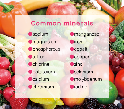 Common minerals,●sodium●magnesium●phosphorous●sulfur●chlorine●potassium●calcium●chromium●manganese●iron●cobalt●copper●zinc●selenium●molybdenum●iodine